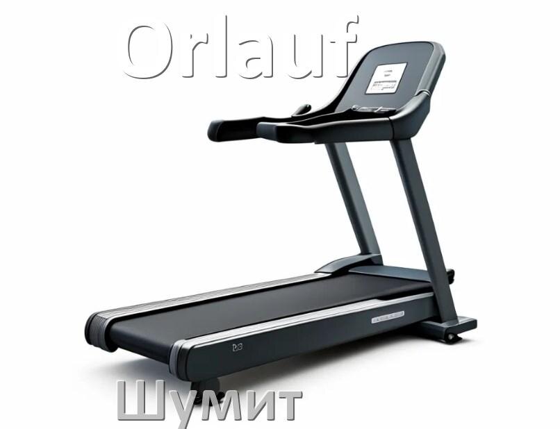 
Почему шумит беговая дорожка Orlauf гудит и свистит