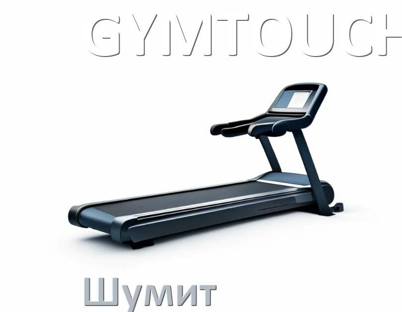 
Почему шумит беговая дорожка GYMTOUCH гудит и свистит