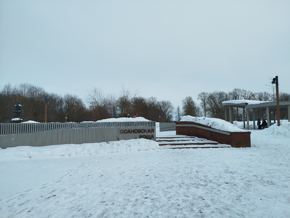 фото автора 08.03.2026