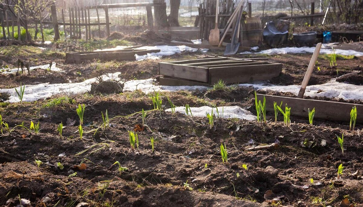Создано с помощью нейросети ГигаЧат