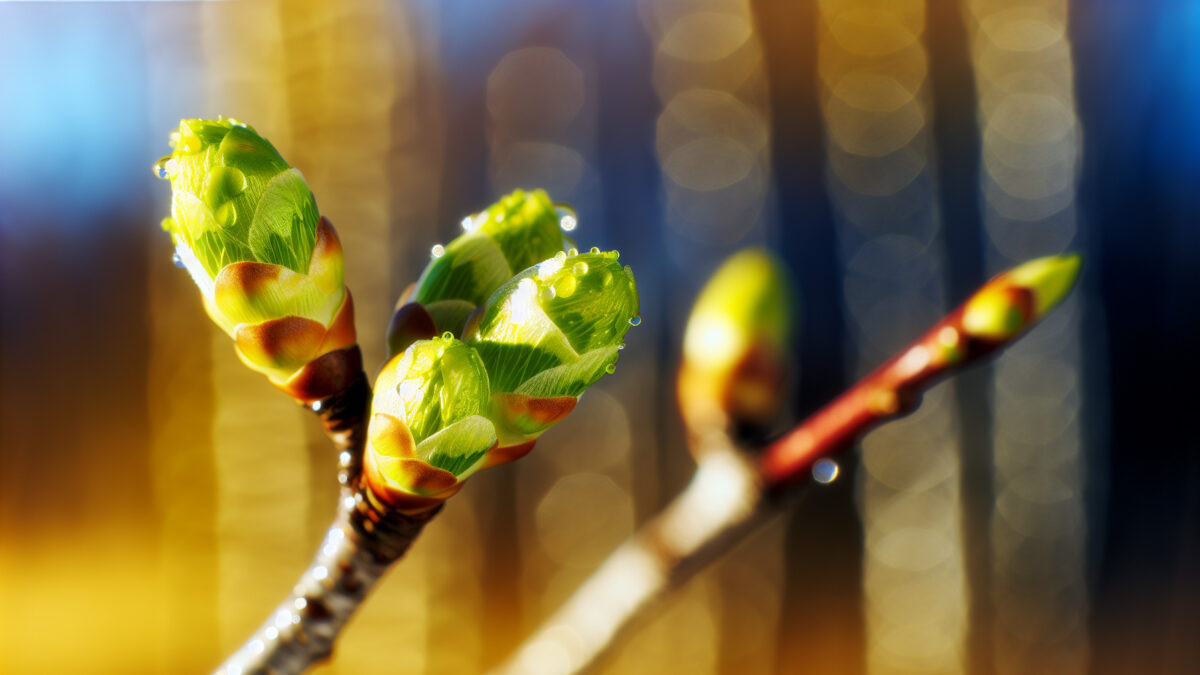    Фото - slanews.ru Юлия Андриенко