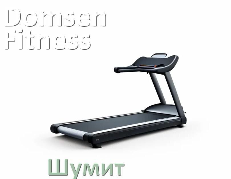 
Почему шумит беговая дорожка Domsen Fitness свистит и гудит