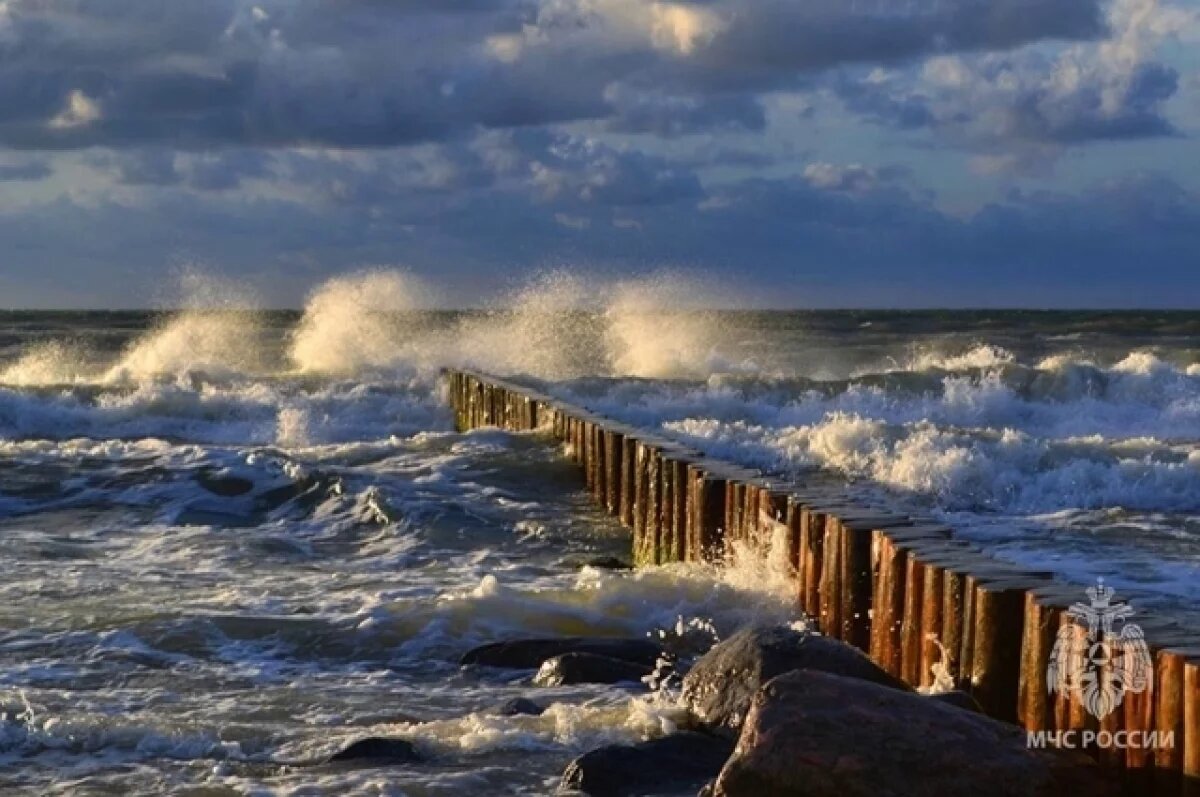    В Балтийском море горбатый кит застрял на мелководье
