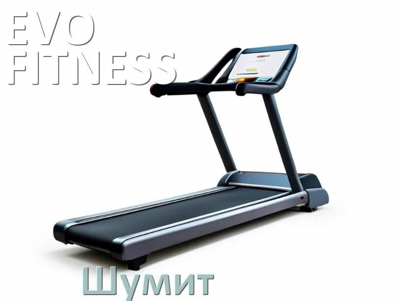 
Почему шумит беговая дорожка EVO FITNESS гудит и свистит
