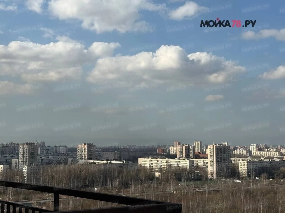    28 марта. Фото: читатель Мойки78