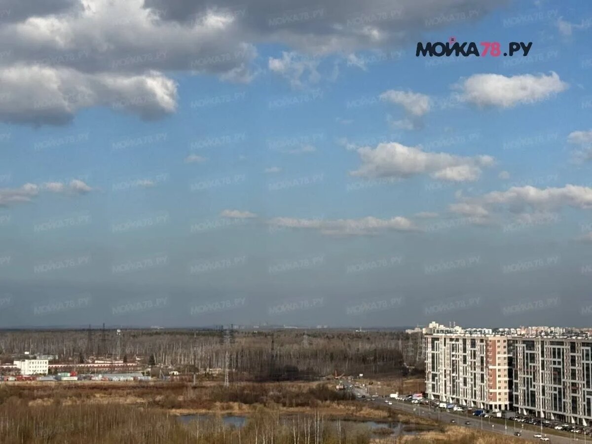    28 марта. Фото: читатель Мойки78