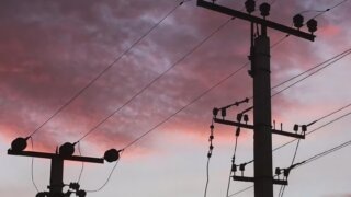    редакция Юлия Виноградова