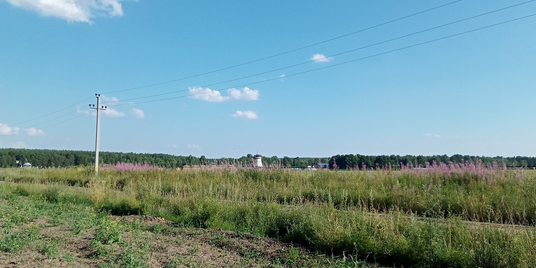 Земля, которая останется землёй: новая эра сельского хозяйства