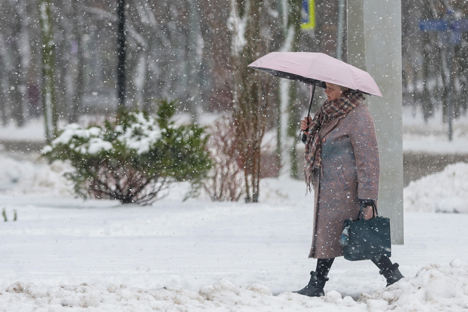   Наталья Шатохина/NEWS.ru