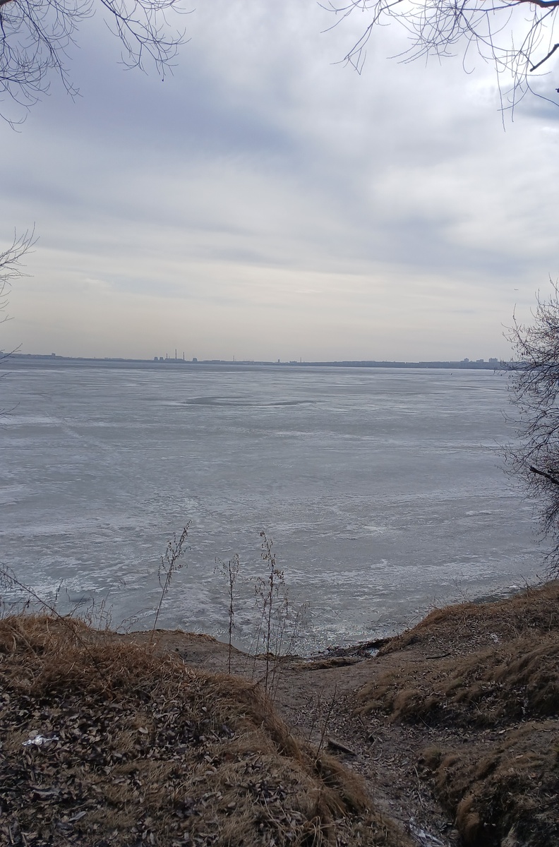 Не стала их фотографировать.