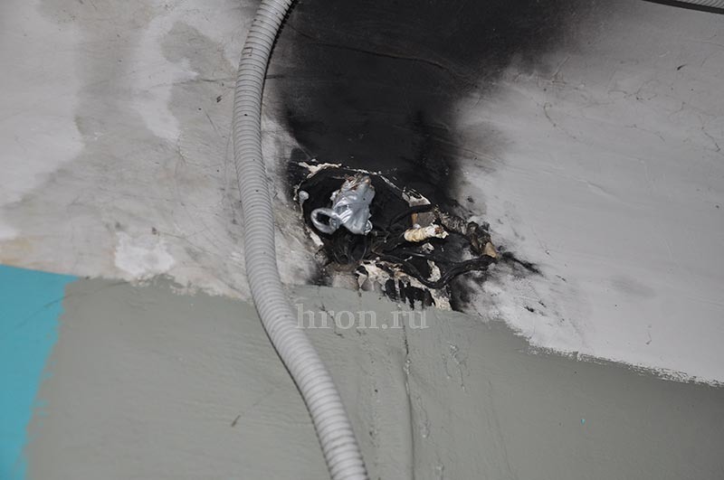 Фото Дмитрия Бикбова