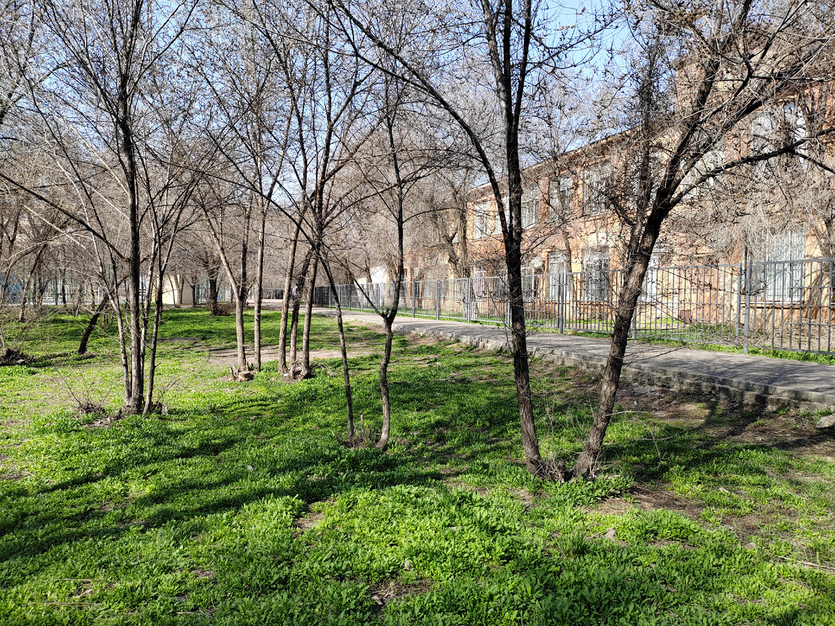 Астрахань. Март 2026 г. Автор фото Бекмурзаева С.