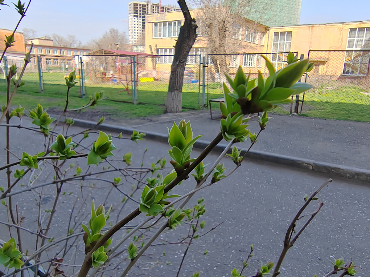 Астрахань. Март 2026 г. Автор фото Бекмурзаева С.