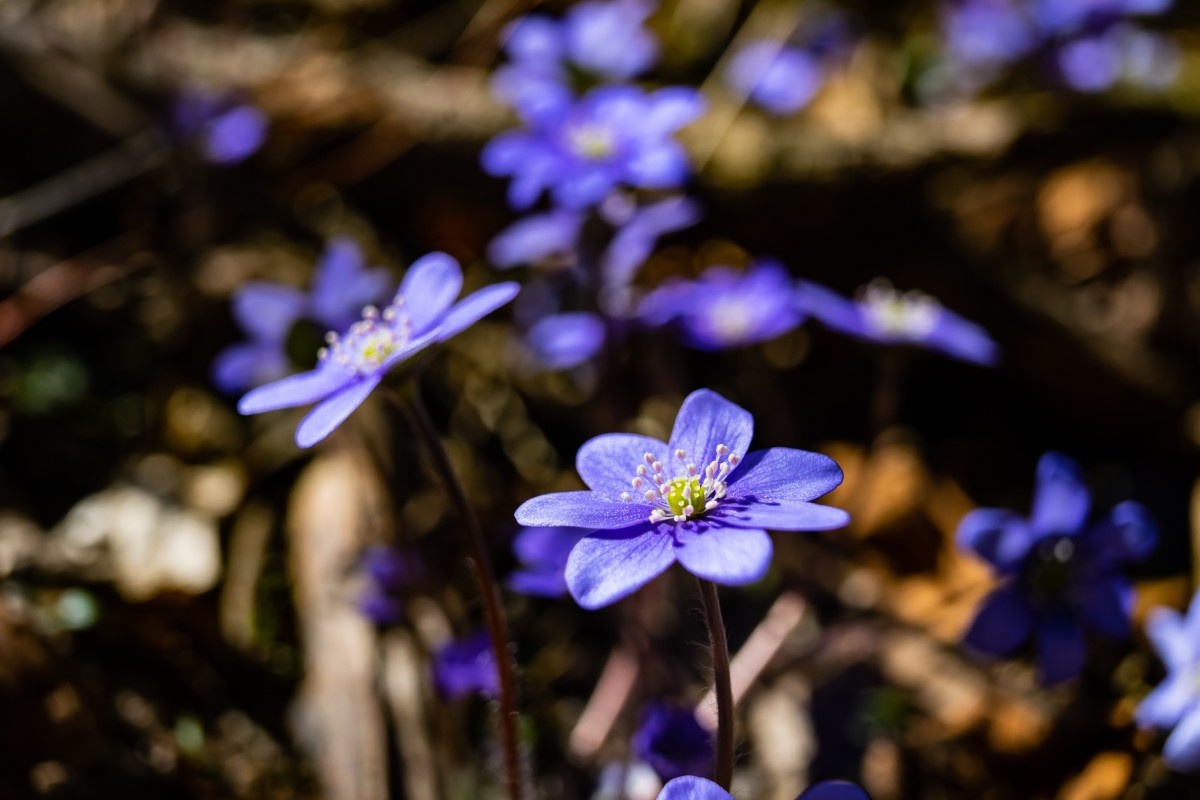    Фото: wirestock / Freepik.com