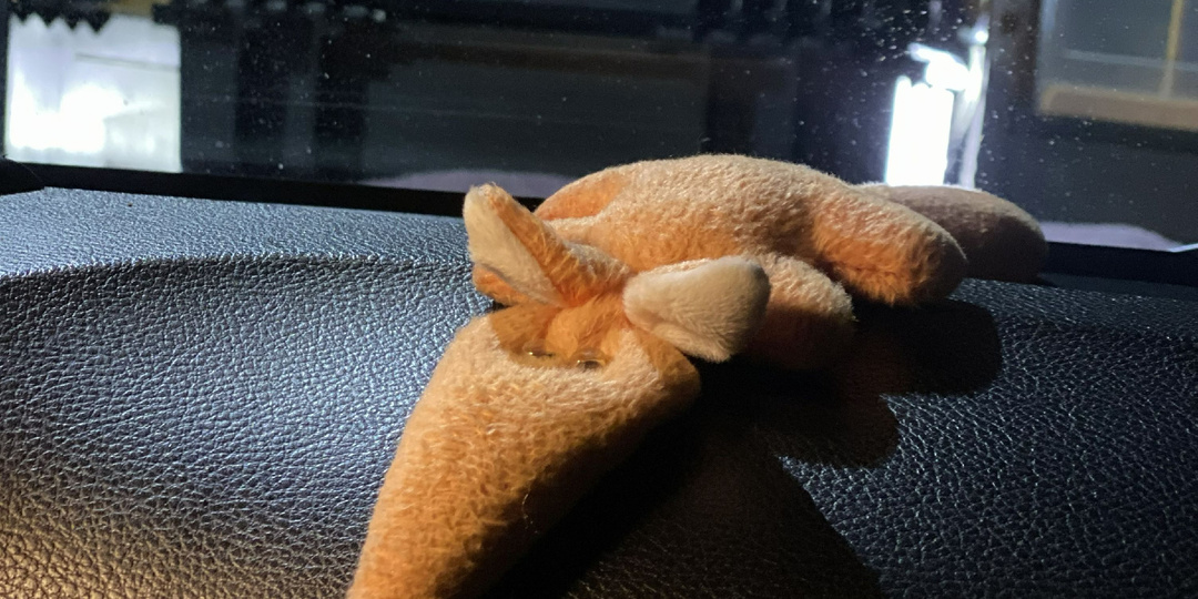 Человек пробыл в лесу восемь суток, и мы его нашли! Живого! Неужели так бывает?!