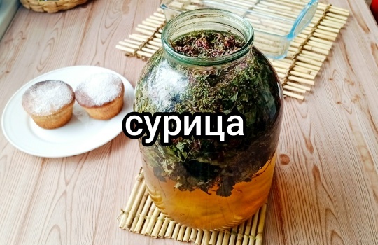 сурья