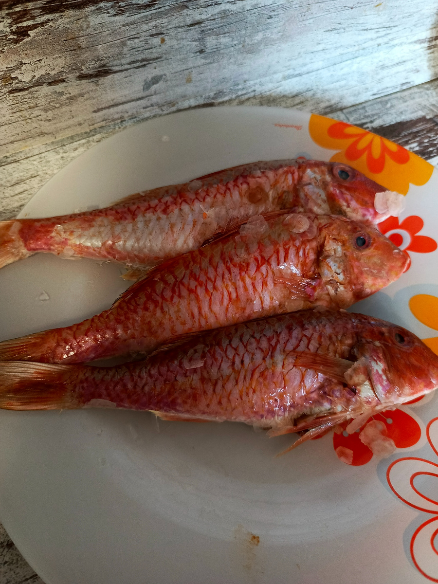 Барабулька