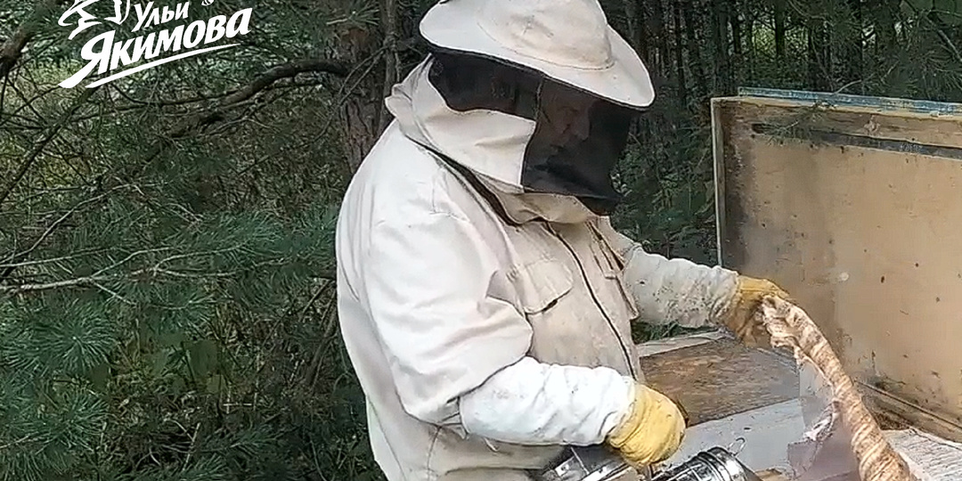 Роевой метод в улье-лежаке — как я запускаю роение по расписанию и ловлю только своих пчёл