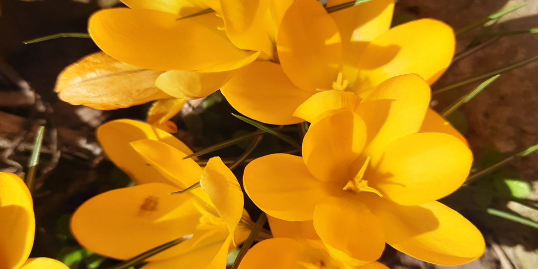 Когда вернулась к старому и забытому опыту