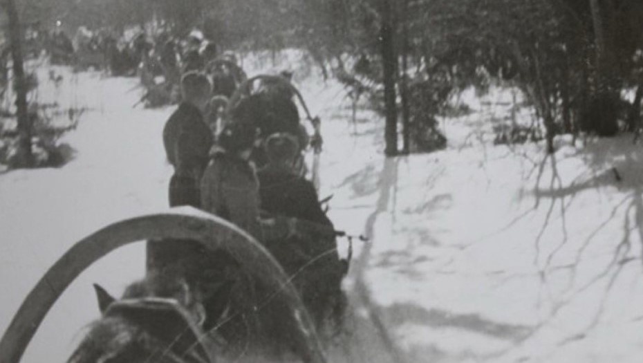    Партизанский обоз из Псковской области в Петербург, архивное фото Автор фото: Пресс-служба Заксобрания Петербурга