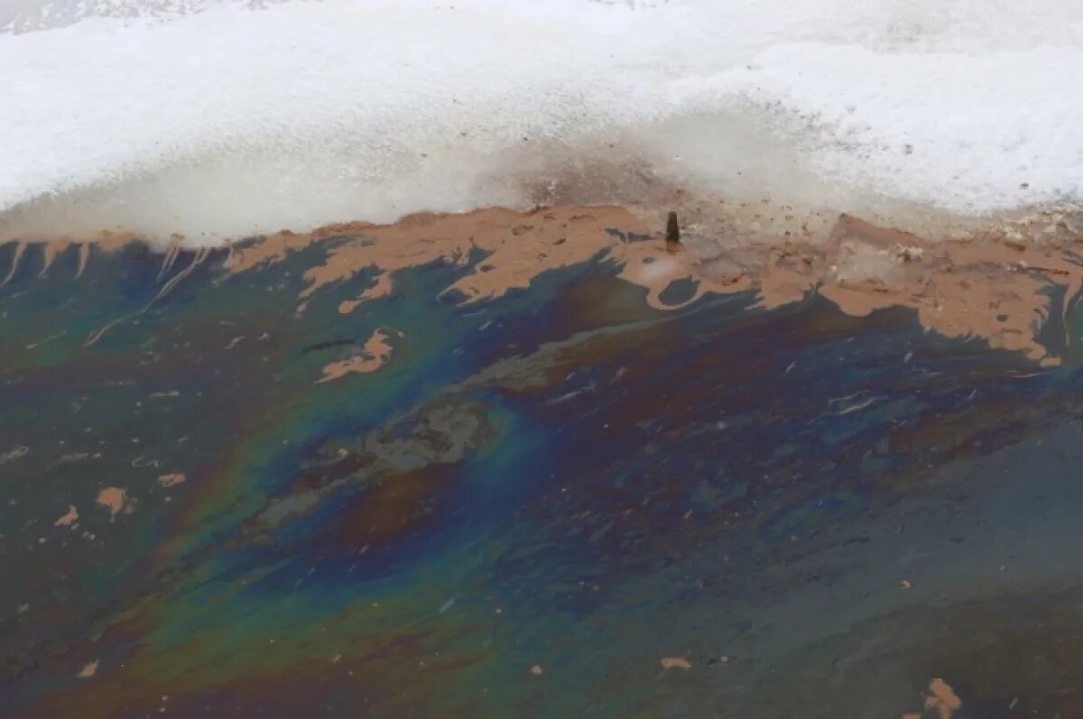    Специалисты Росприроднадзора не нашли нефтяные пятна в губе Чалмпушка