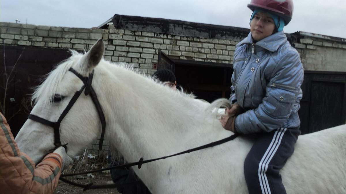 Конная прогулка 