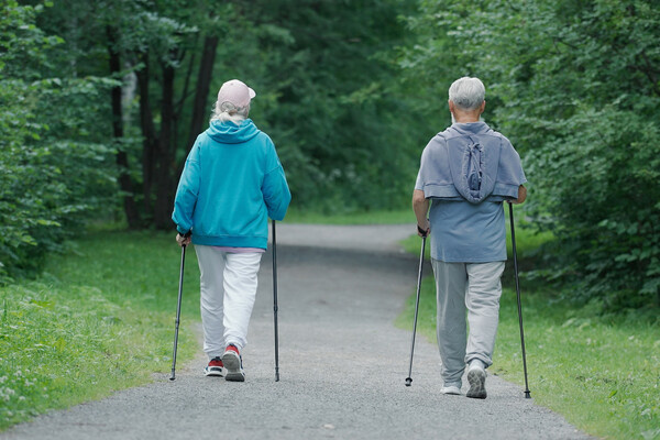 SibRapid/Shutterstock/FOTODOM   📷