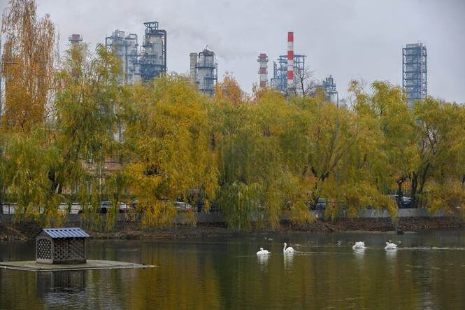 Капотня: лебеди на пруду и трубы МНПЗ за деревьями. Весь контраст района — в одном кадре
