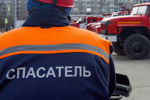 Katvic/Shutterstock/FOTODOM   📷