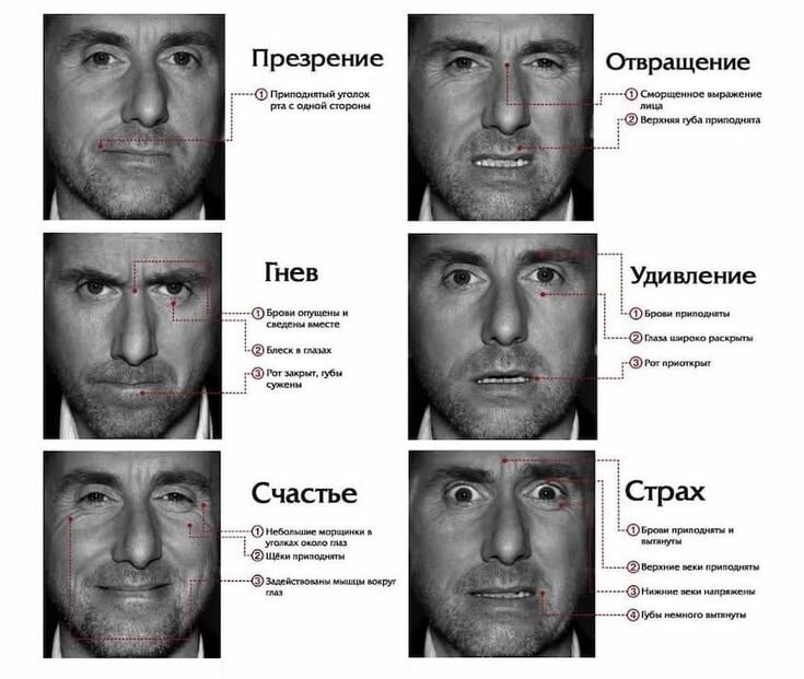 невербальные сигналы тела и что они означают