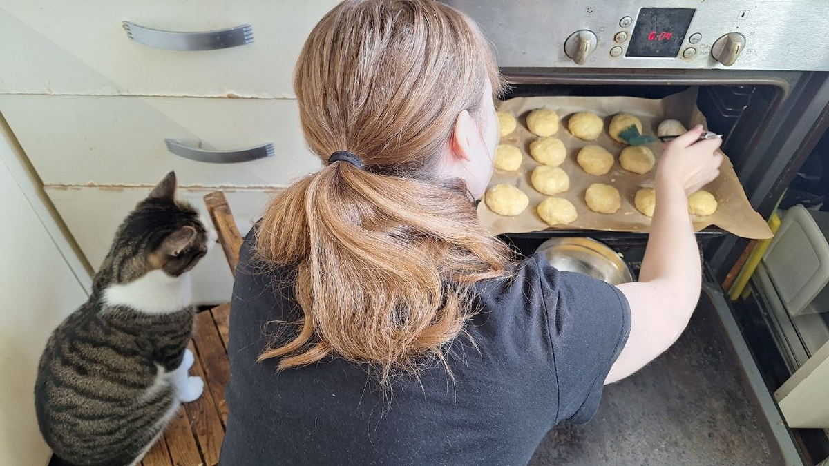 Кот порицает такой перевод рыбы