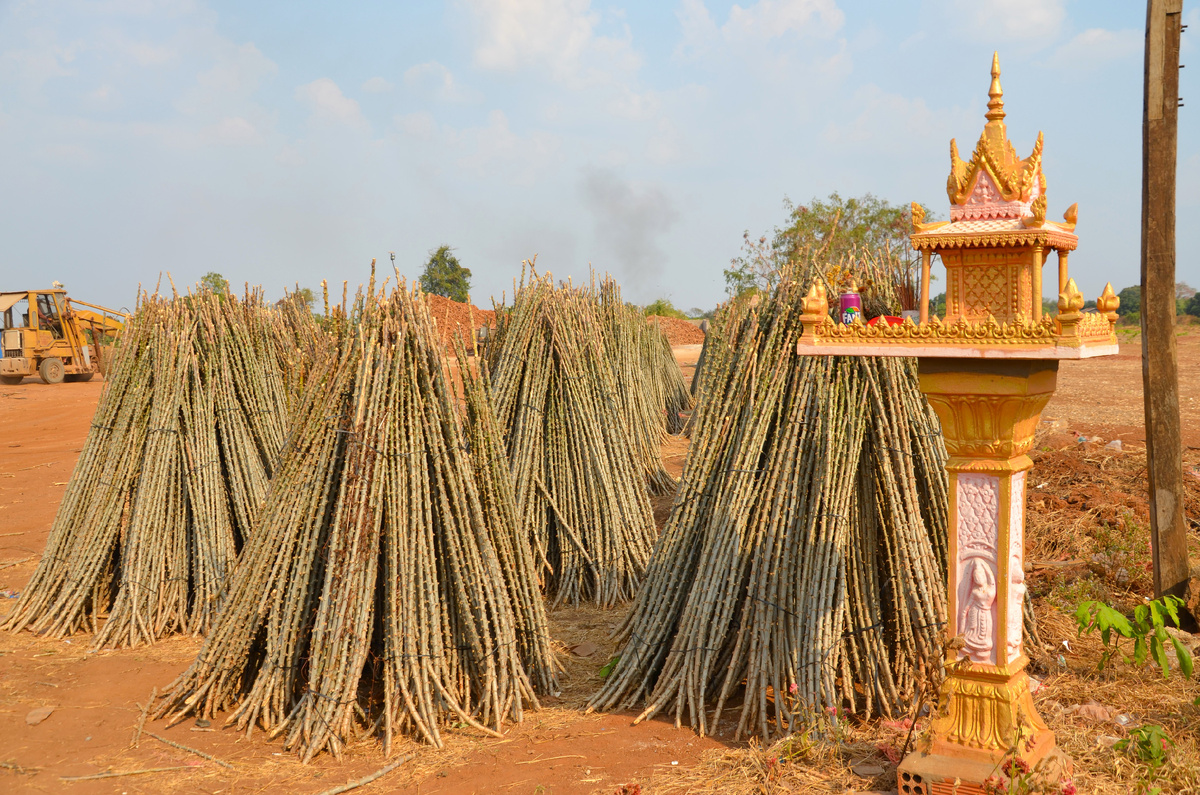 Те самые палки, собранные в снопы в Камбодже. Фото автора.