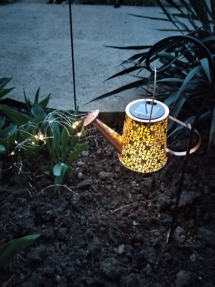 Вечер, загорелась леечка