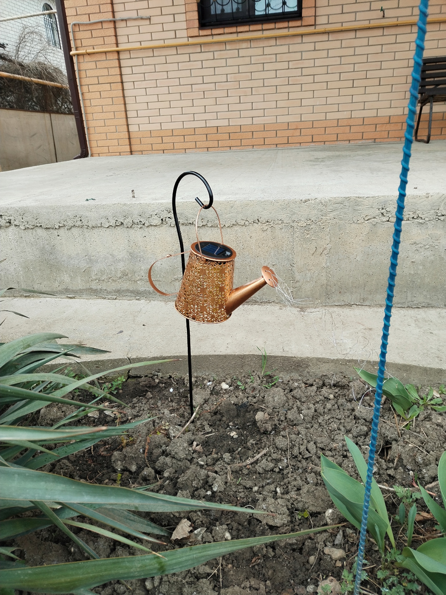 Леечка днем. 