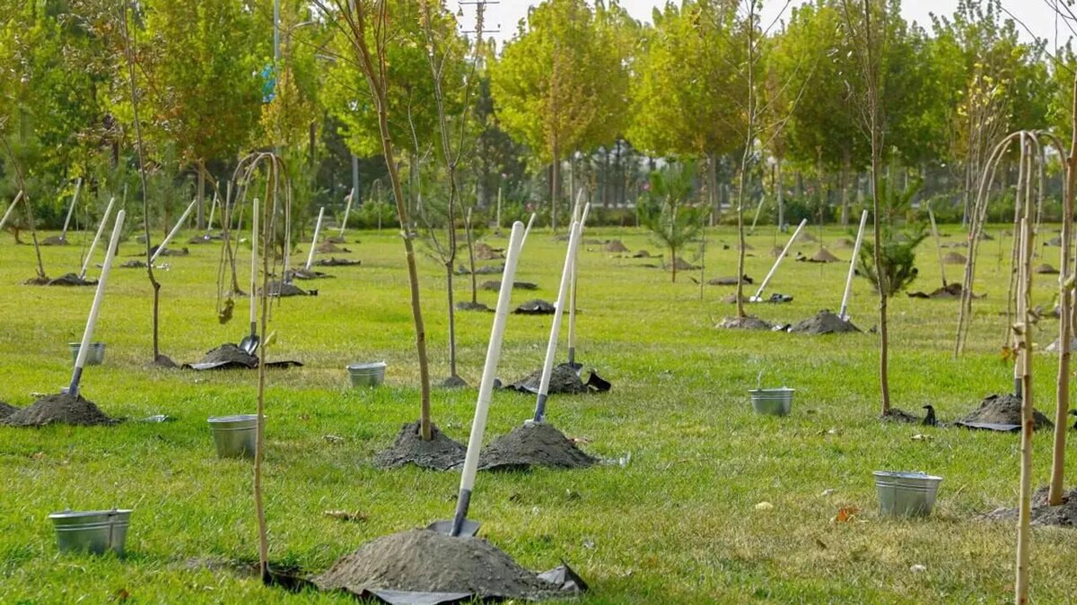 Пресс-служба министерства экологии Узбекистана