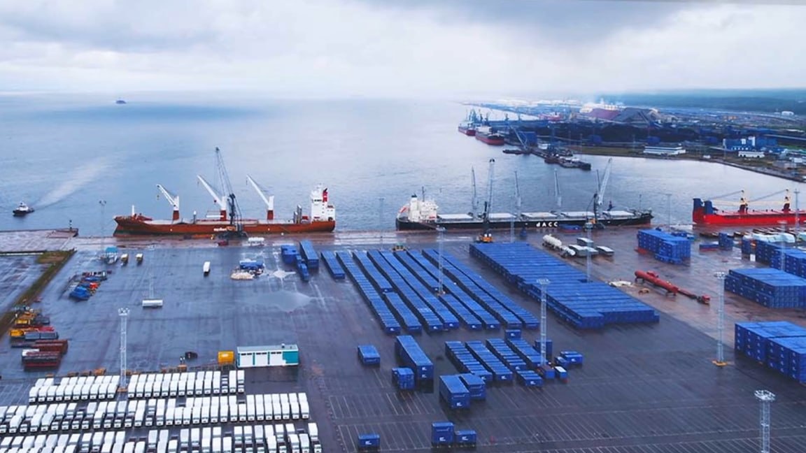 Фото: Prt Scr rutube.ru / Лесная философия