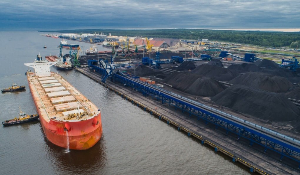 Фото: Prt Scr rutube.ru / Лесная философия