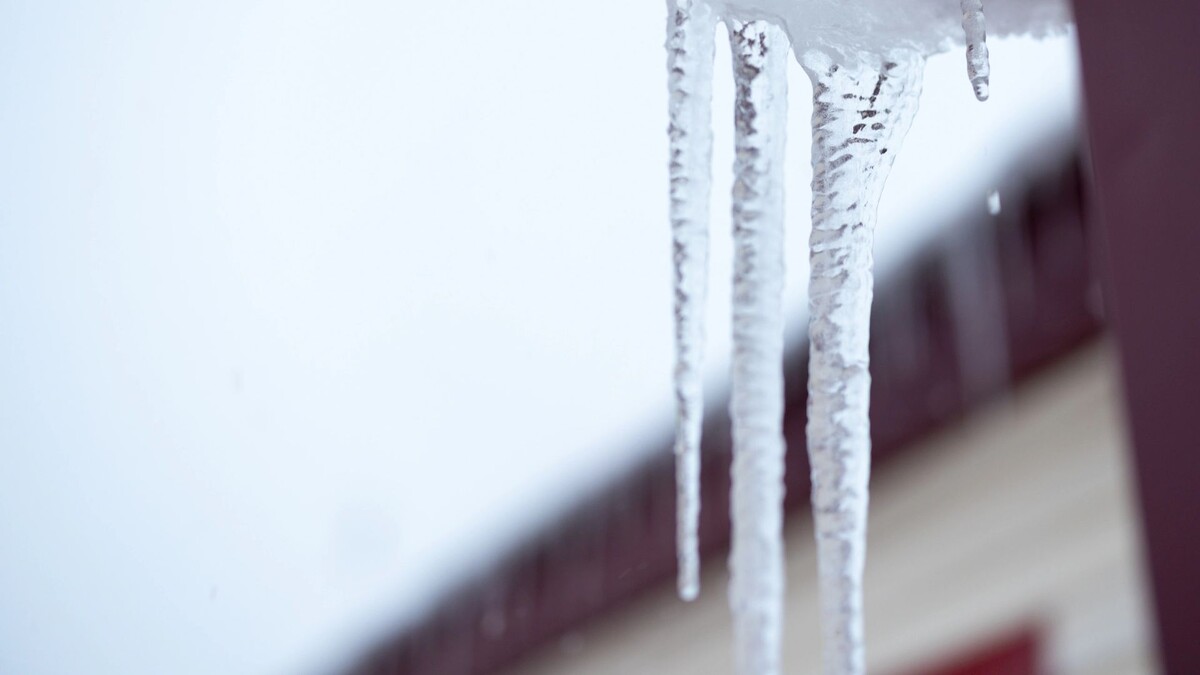    Фото: Юлия Чудинова / «Ямал-Медиа»