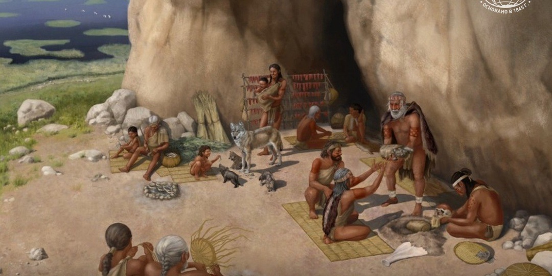 Собаки живут с людьми больше 15 тыс лет. Доказали ученые