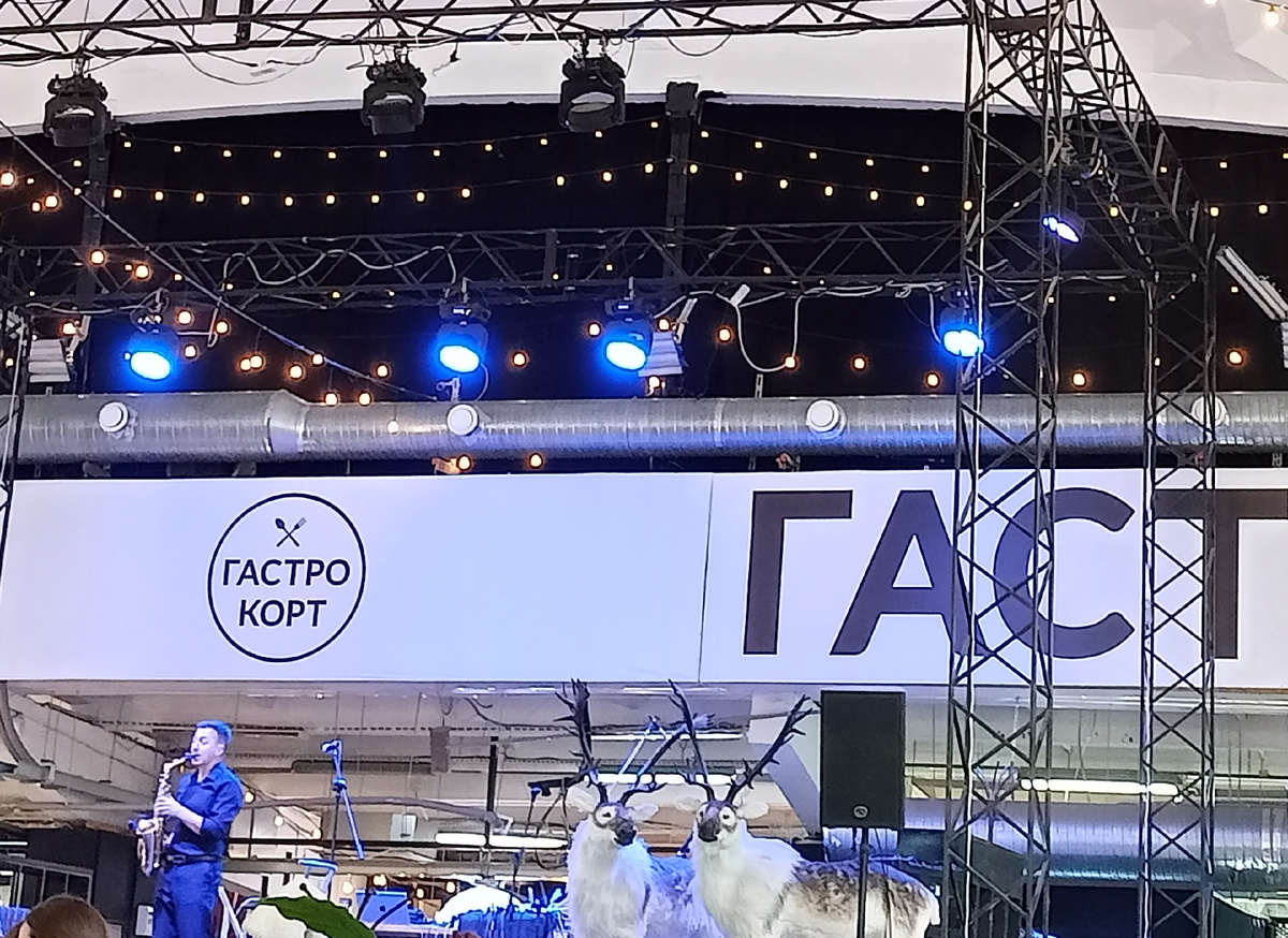 Фотографировала ещё зимой, сейчас оленей убрали