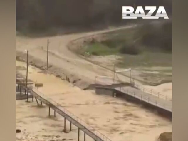    Фото: телеграм-канал Baza