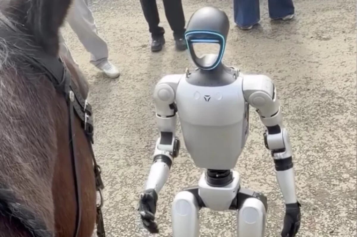    Блогер Оксана Самойлова приобрела робота-помощника для своей фермы