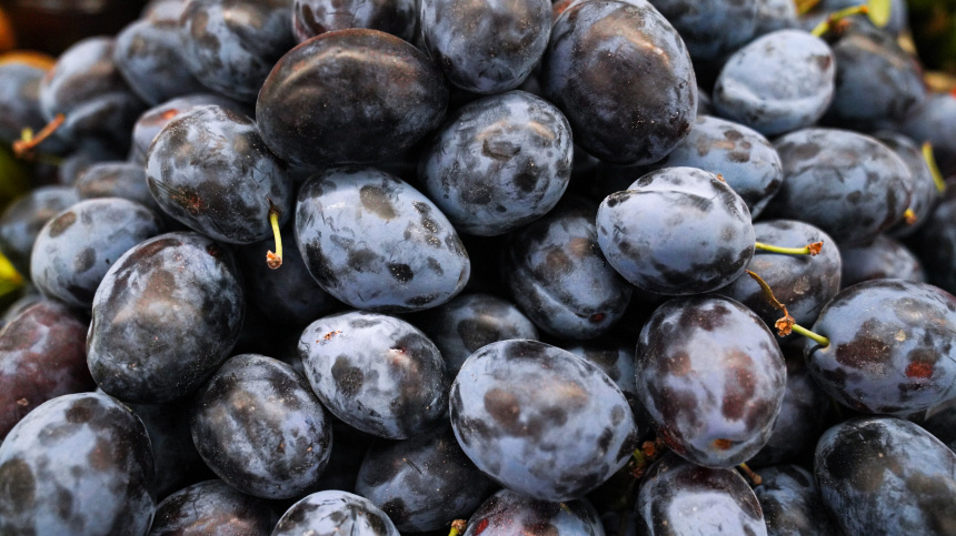    Фото: ИЗВЕСТИЯ/Анна Селина