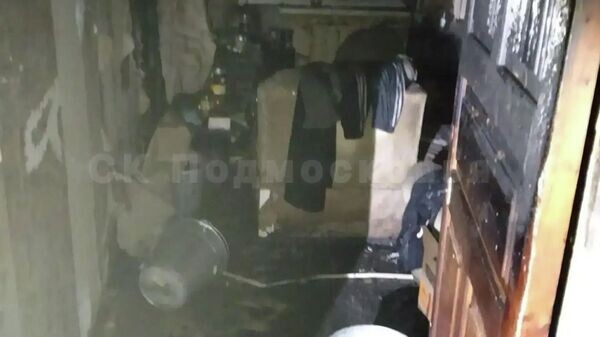    © СК Подмосковья