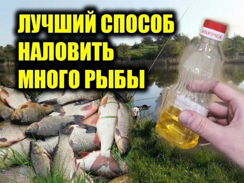 И потерять деньги