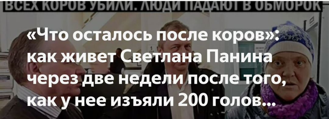 «Что осталось после коров»: как живёт Светлана Панина через две недели