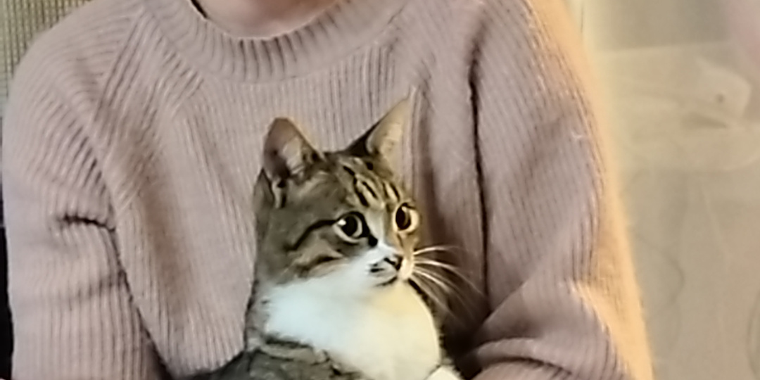 Дина