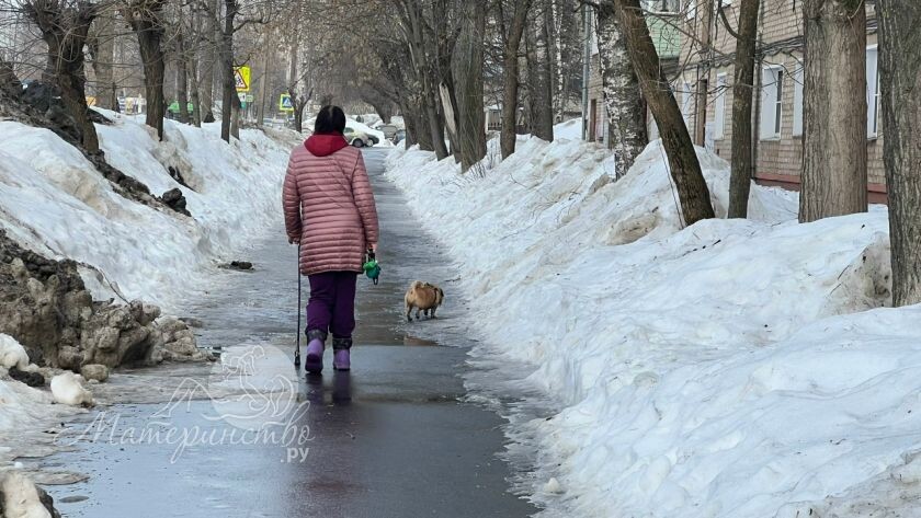    Фото: Материнство