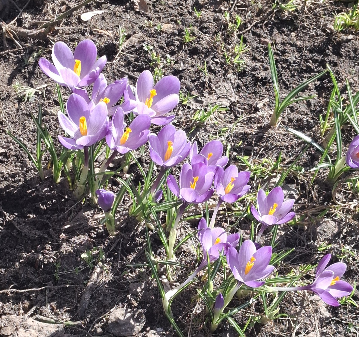 Моё самое любимое, самое красивое время года.