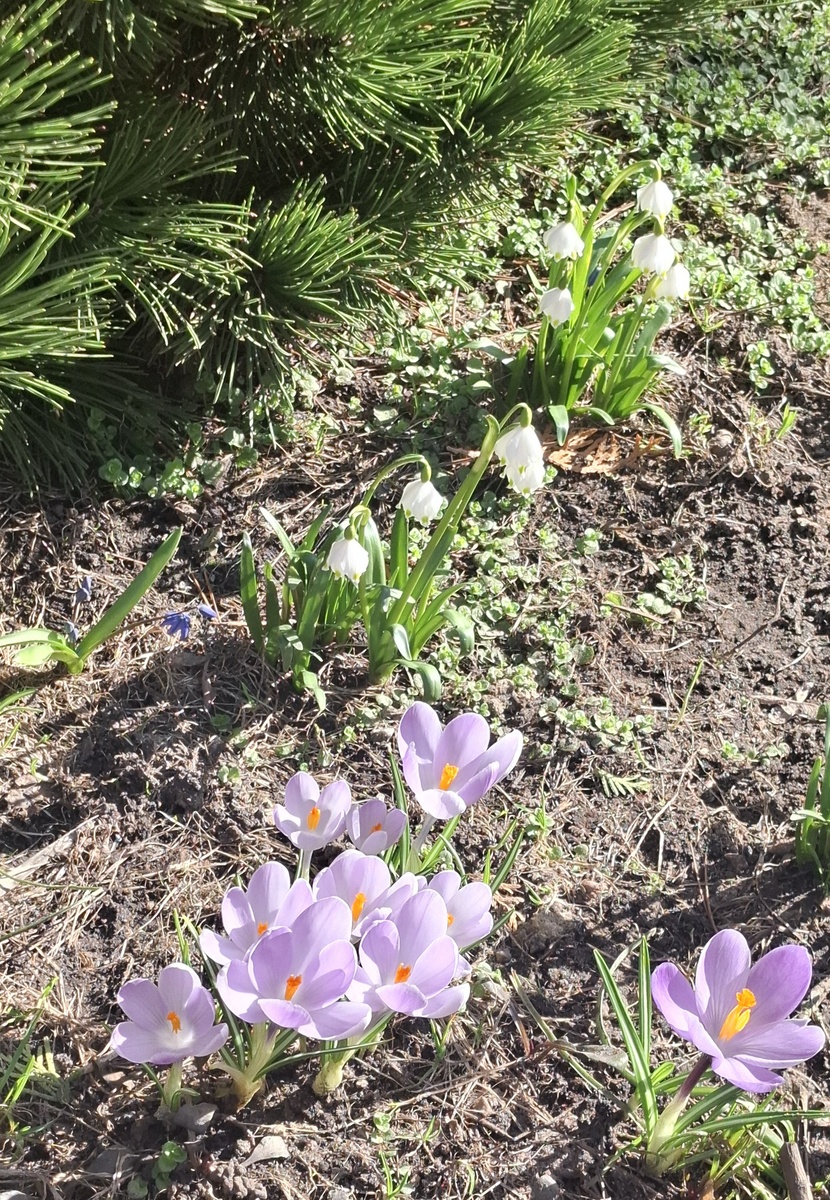 Ура! Дождались!